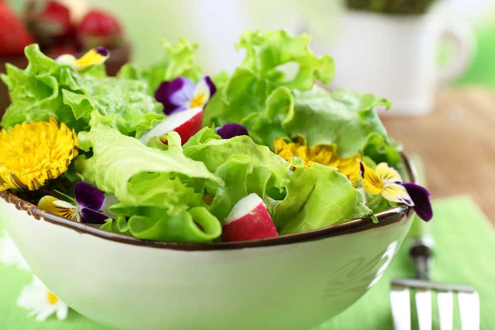 Garden Salad